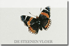 vlinders_insecten_tableaus